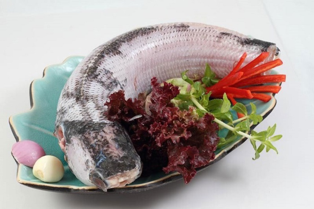 Bánh canh cá lóc – Món ăn dân dã không thể thiếu của người dân xứ Huế 5