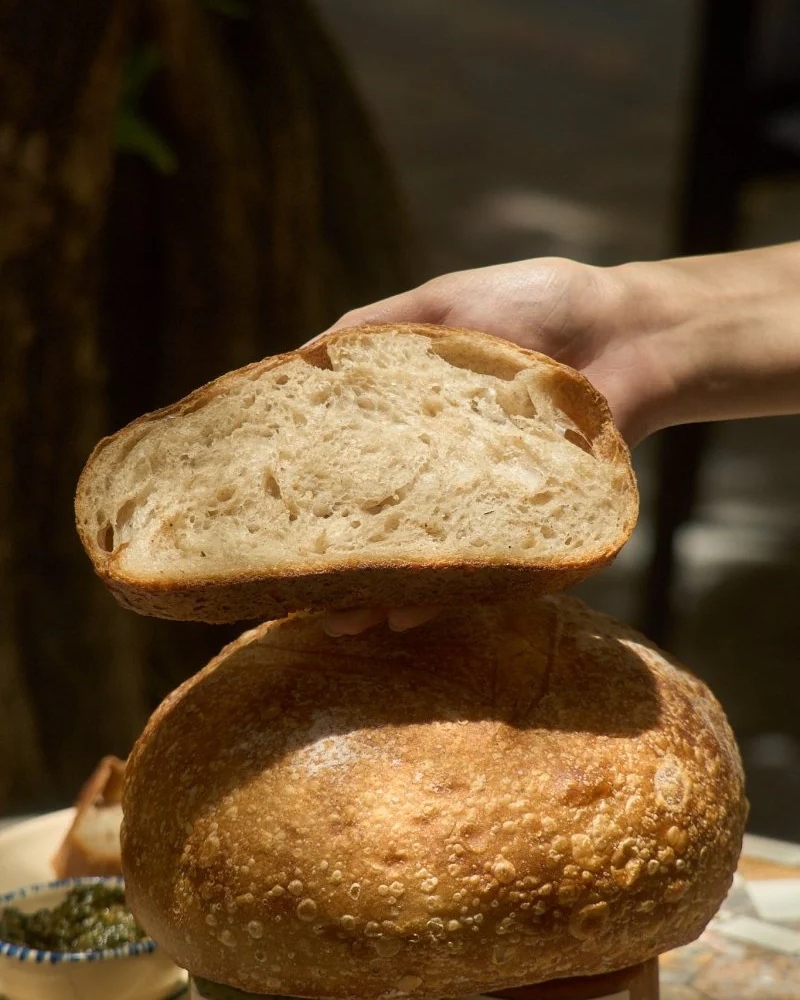 Bánh mì sourdough là gì? Cách làm, nuôi men và cách bảo quản 12