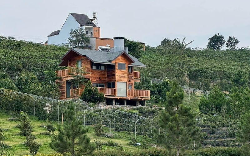 Khám phá vùng cao nguyên Bảo Lâm yên bình ở Lâm Đồng 11
