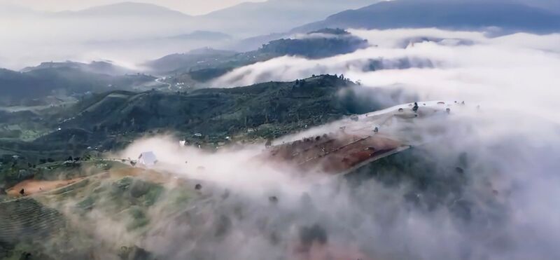 Cẩm nang du lịch Bảo Lộc: Về xứ danh trà nức tiếng Tây Nguyên 11