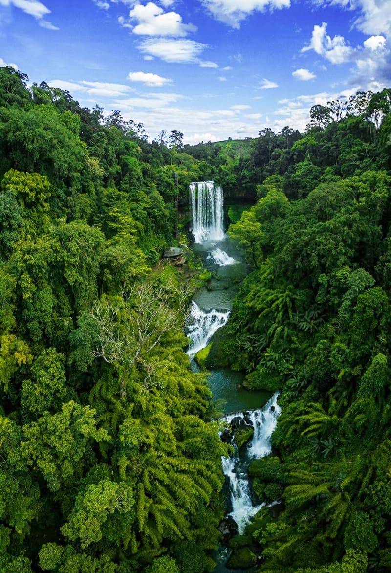 Cẩm nang du lịch Bảo Lộc: Về xứ danh trà nức tiếng Tây Nguyên 5