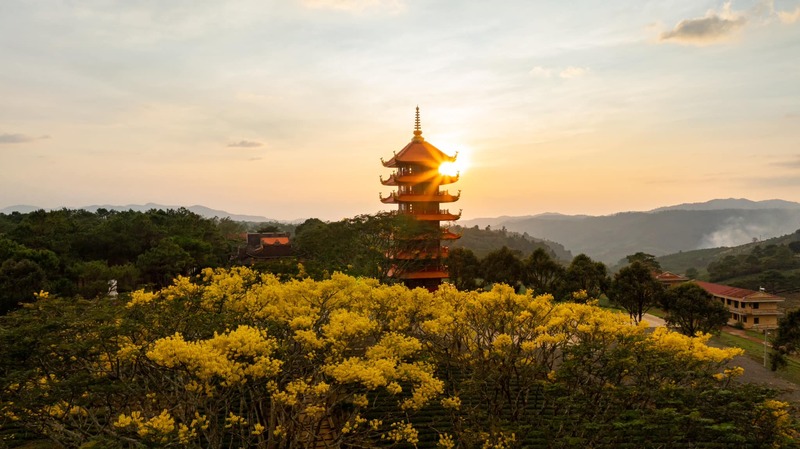 Cẩm nang du lịch Bảo Lộc: Về xứ danh trà nức tiếng Tây Nguyên 7