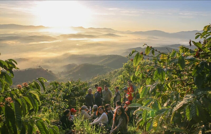 Cẩm nang du lịch Bảo Lộc: Về xứ danh trà nức tiếng Tây Nguyên 9