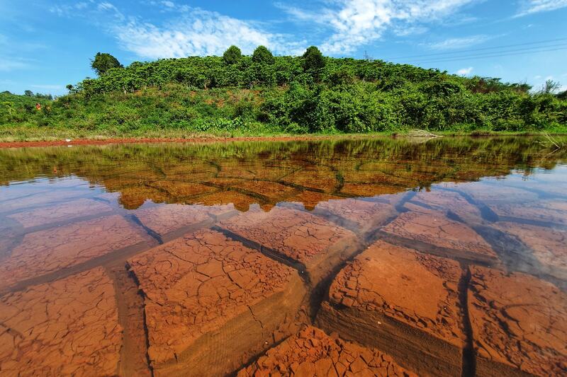 Cẩm nang du lịch Bảo Lộc: Về xứ danh trà nức tiếng Tây Nguyên 10