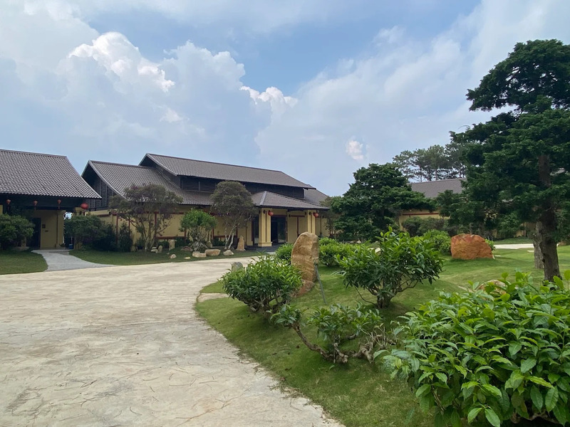 Bảo tàng trà Long Đỉnh Đà Lạt: Hành trình hồi sinh trà Việt 2