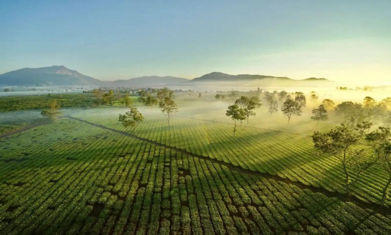 Bật mí Gia Lai có gì chơi cho chuyến đi thêm trọn vẹn 5