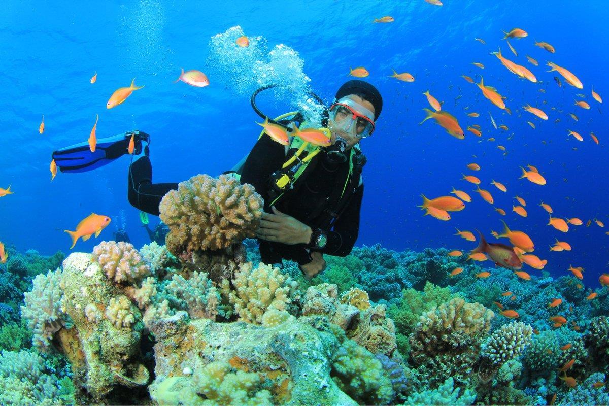 Bật mí kinh nghiệm lặn biển Nha Trang ngắm san hô tuyệt đẹp 4