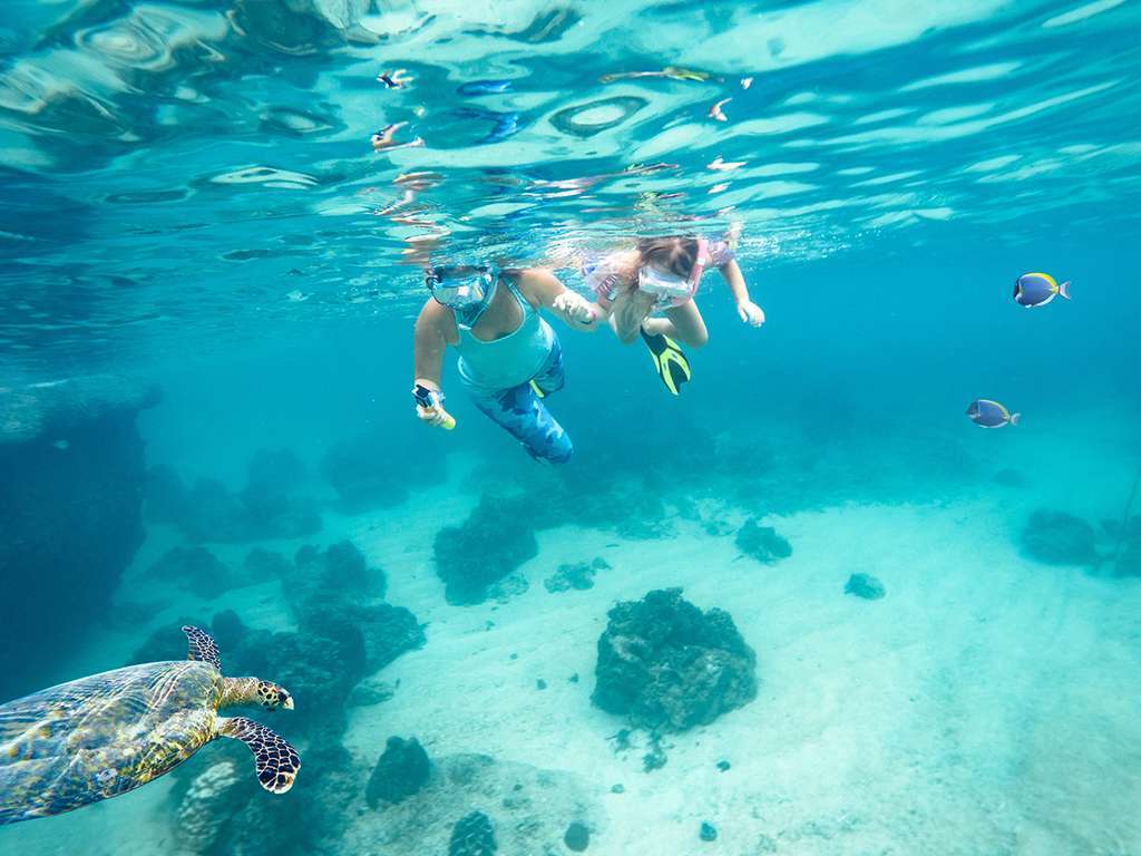 Bật mí kinh nghiệm lặn biển Nha Trang ngắm san hô tuyệt đẹp 6