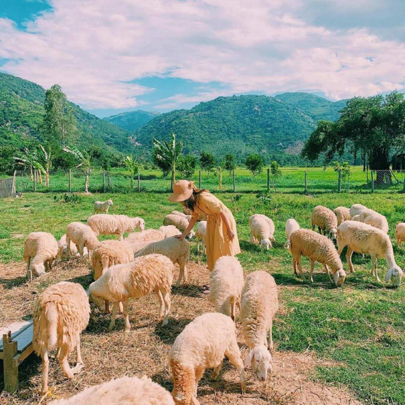 Bật mí Nha Trang có gì chơi và những trải nghiệm độc đáo nhất 8