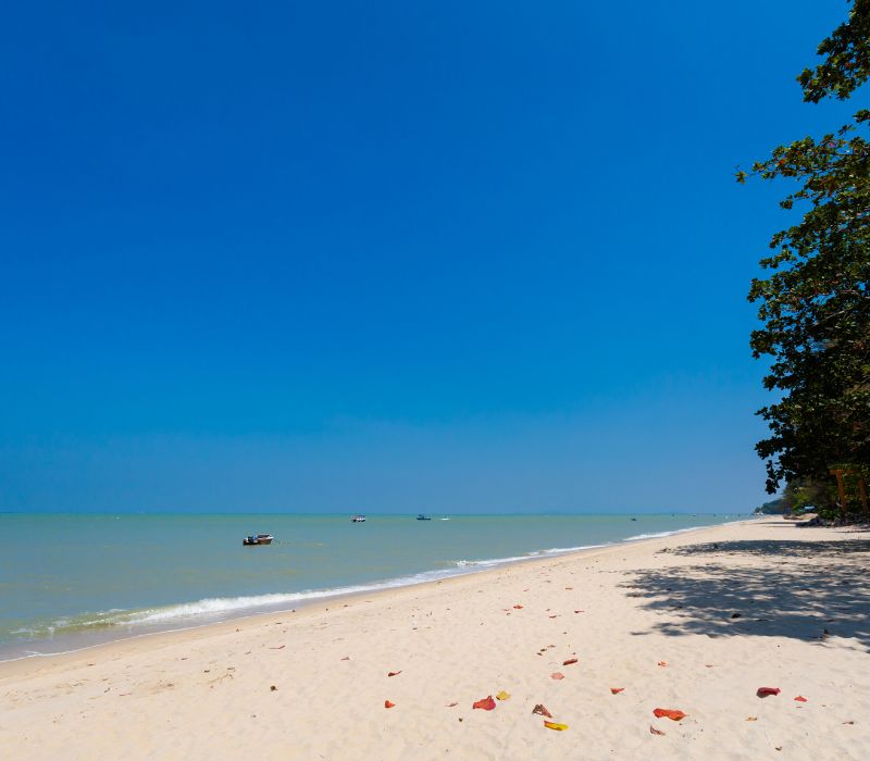 Batu Ferringhi: Thiên đường biển không thể bỏ lỡ tại Malaysia 2