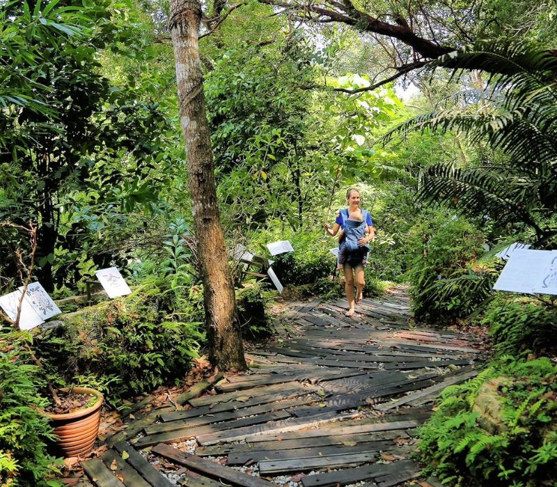 Batu Ferringhi: Thiên đường biển không thể bỏ lỡ tại Malaysia 9