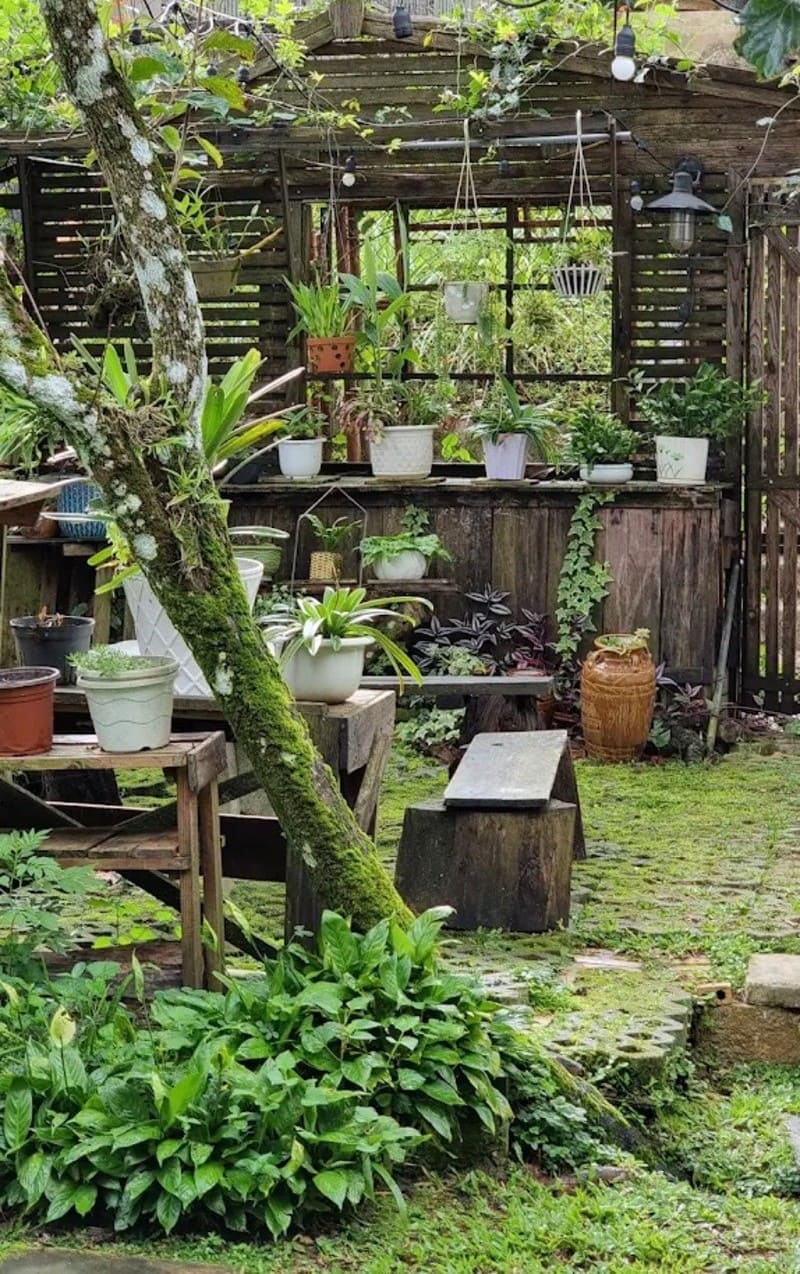 Bee Inn Homestay Đà Lạt: Nơi dừng chân cho tâm hồn yêu thiên nhiên 8