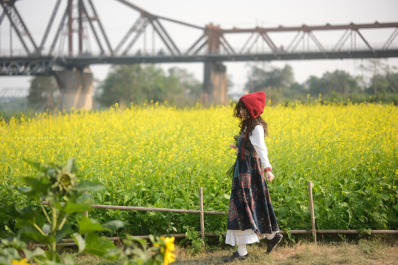 Check-in bến hoa Phúc Xá Ba Đình: Góc sống chậm rực rỡ giữa lòng Hà Nội 3