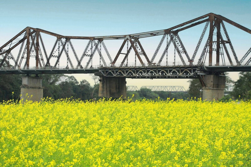 Check-in bến hoa Phúc Xá Ba Đình: Góc sống chậm rực rỡ giữa lòng Hà Nội 7