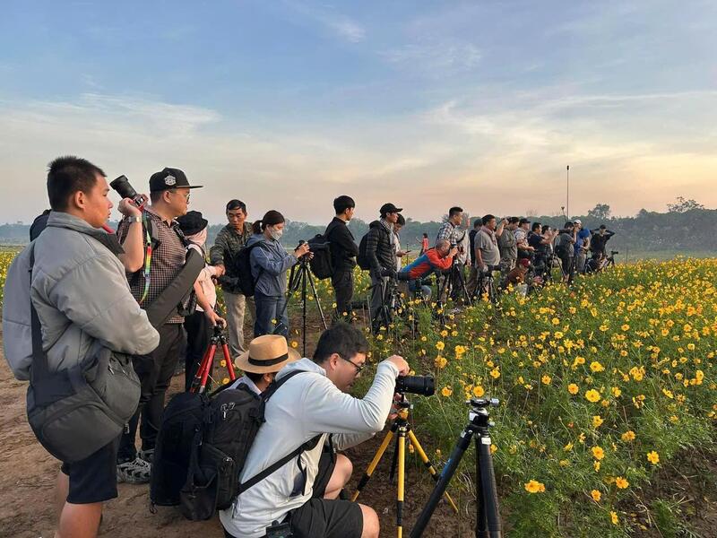 Check-in bến hoa Phúc Xá Ba Đình: Góc sống chậm rực rỡ giữa lòng Hà Nội 4