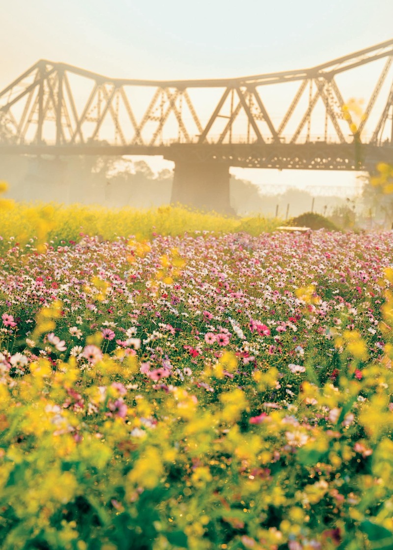 Check-in bến hoa Phúc Xá Ba Đình: Góc sống chậm rực rỡ giữa lòng Hà Nội 2