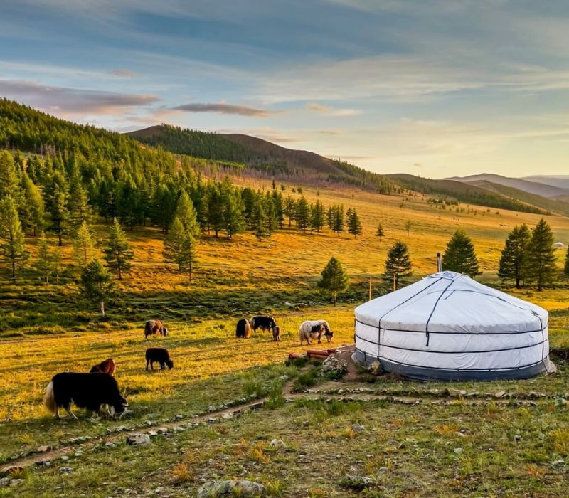 Bí kíp du lịch Mông Cổ và những trải nghiệm không được bỏ lỡ