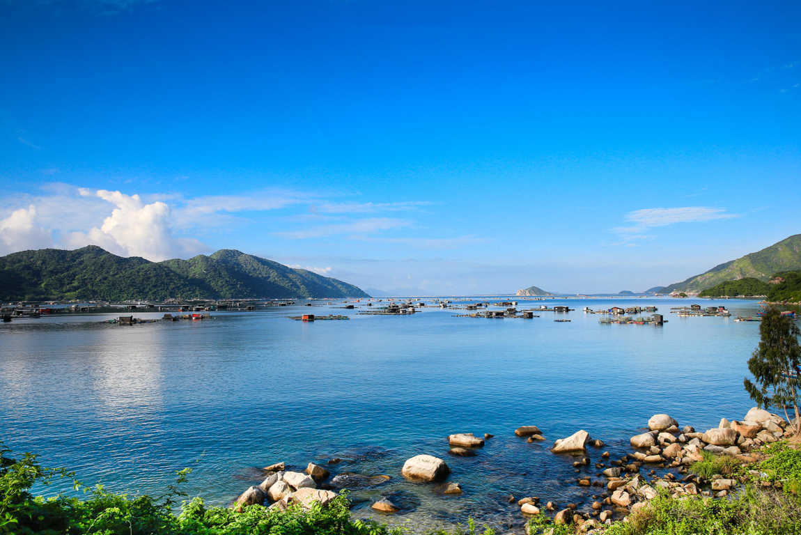 Bí kíp du lịch Phú Yên trong 1 ngày cho hội đam mê khám phá 6