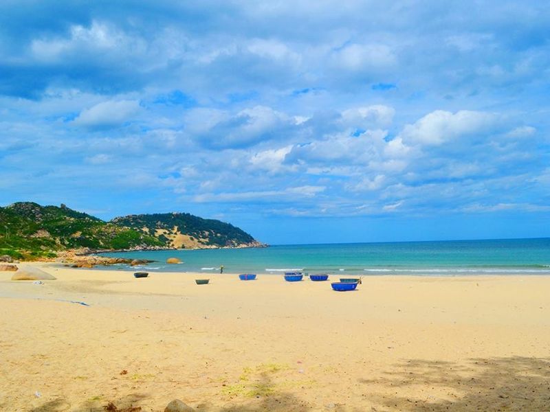 Top 12 bãi biển Bình Định đẹp ngỡ ngàng khiến bạn say mê 13