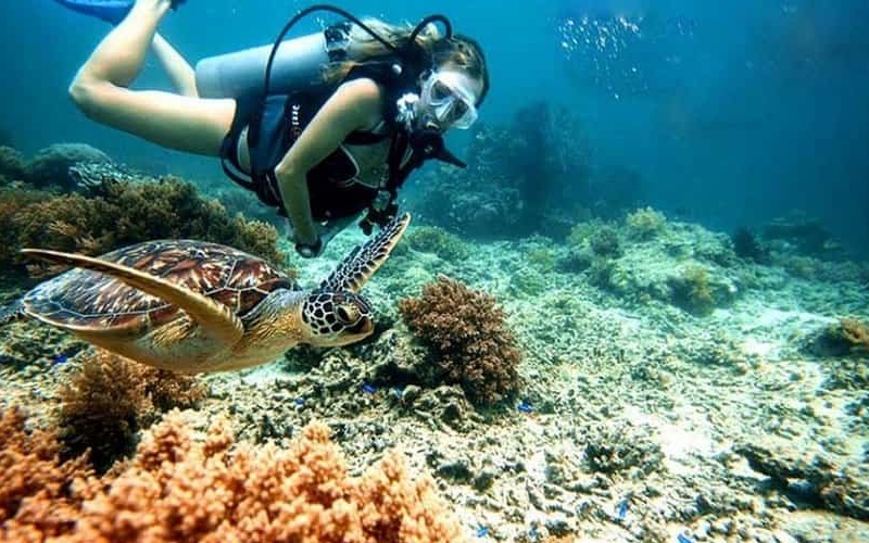 Top 7 bãi biển Côn Đảo đẹp nhất mà du khách không nên bỏ lỡ 11