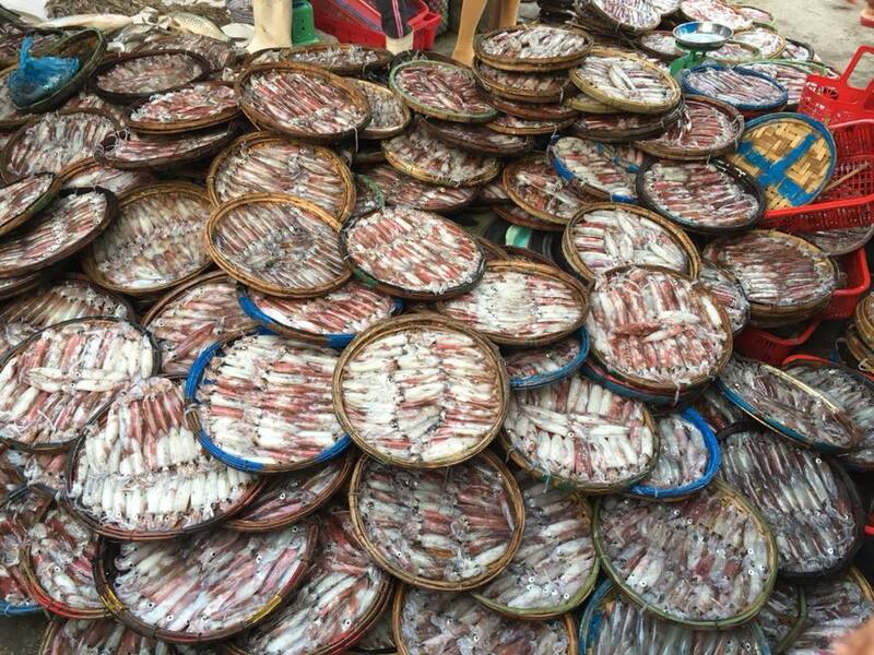 Biển Hải Dương, Huế: Thiên đường trong xanh với vẻ đẹp nguyên sơ 9