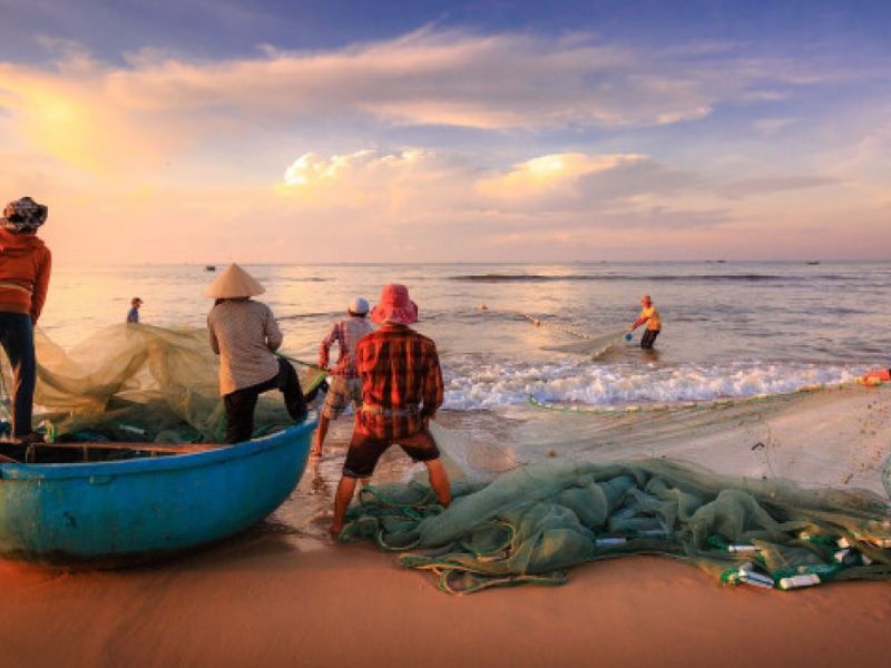 Ghé thăm biển Hoài Hải: Khoảnh khắc yên bình giữa nhịp sống hối hả 7