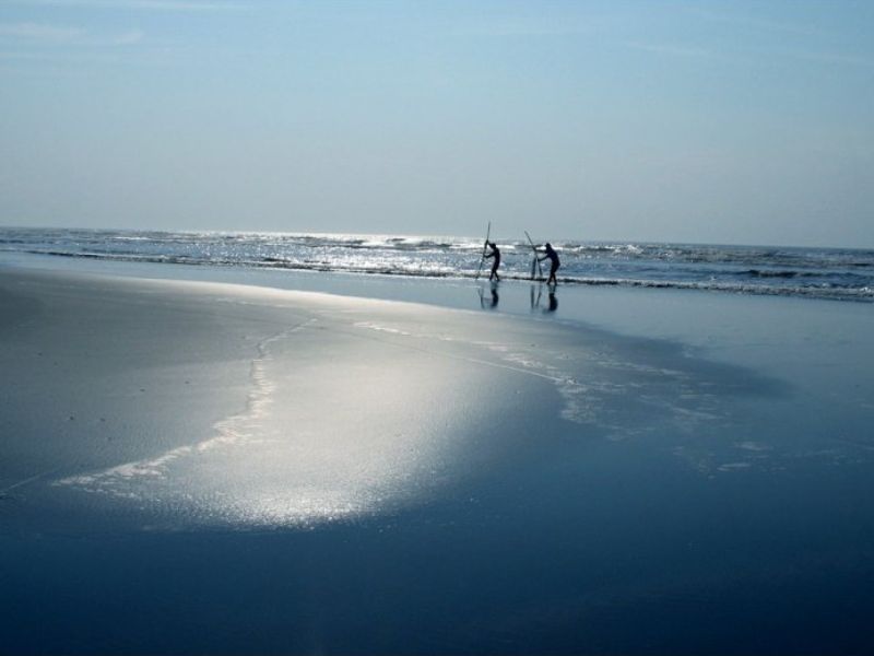 Top 5 bãi biển Nam Định hút hồn biết bao du khách gần xa 7