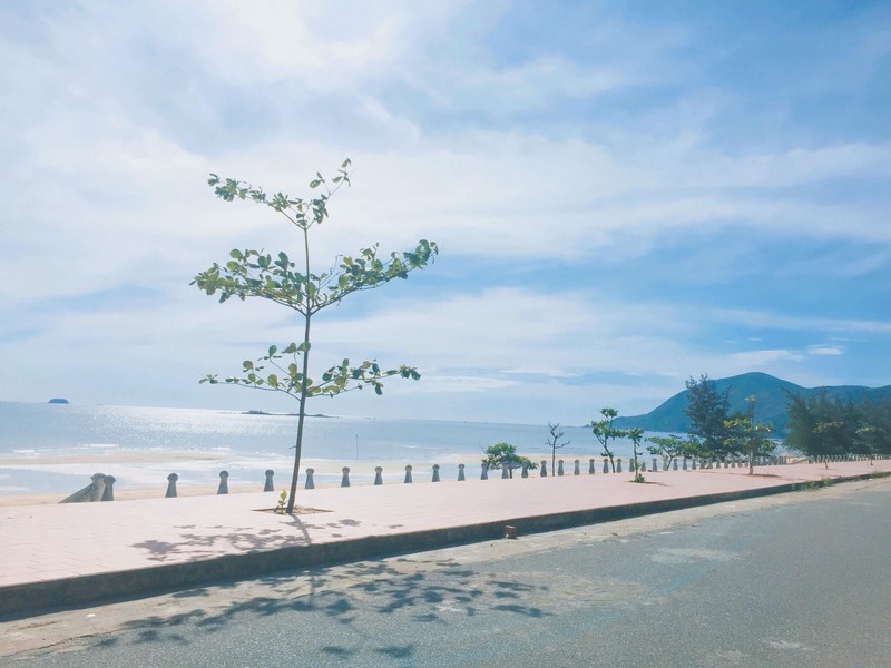 Kinh nghiệm du lịch biển Thiên Cầm Hà Tĩnh hoang sơ yên ả 15