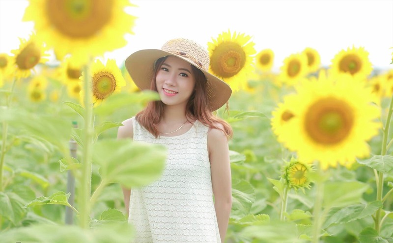 Kinh nghiệm du lịch biển Thiên Cầm Hà Tĩnh hoang sơ yên ả 9