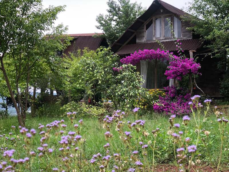Bình Yên House Đà Lạt: Ngôi nhà trên mây nơi thời gian chậm lại 6