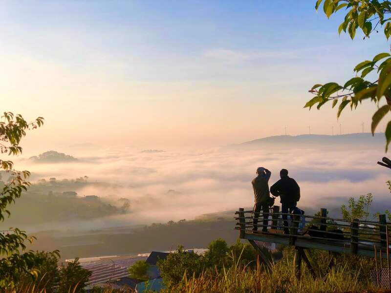 Bình Yên House Đà Lạt: Ngôi nhà trên mây nơi thời gian chậm lại 9