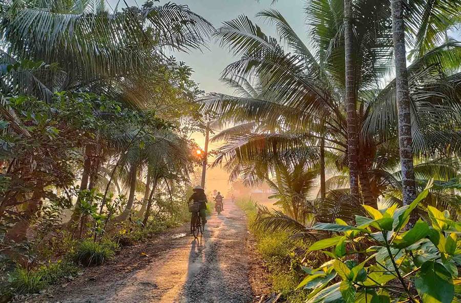 Bộ ảnh review xứ dừa Bến Tre với vẻ đẹp bình yên miền thôn dã