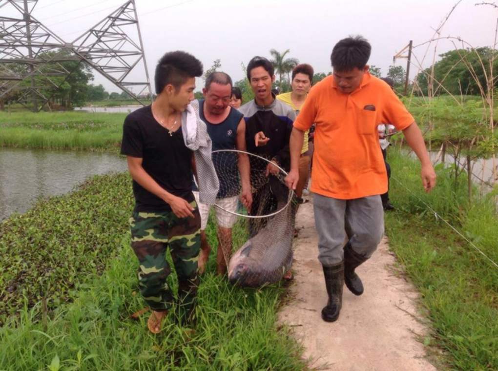 Bỏ túi kinh nghiệm câu cá tự nhiên ở Hà Nội cùng MIA.vn 8