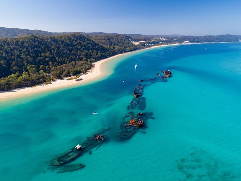 Trải nghiệm du lịch Brisbane, thủ phủ xinh đẹp vùng Queensland 13