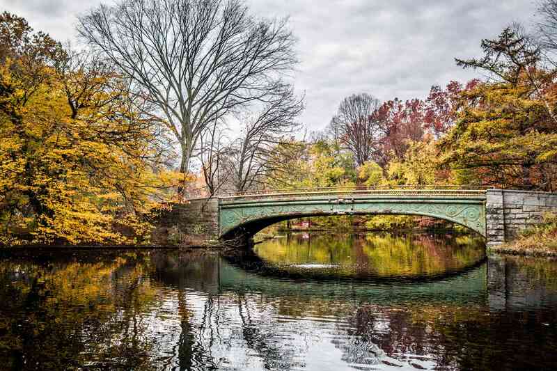 Tại sao Brooklyn là quận tuyệt vời nhất của New York Mỹ? 8