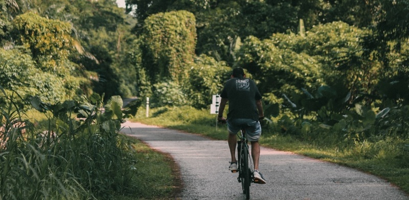 Khám phá mảng xanh Bukit Timah giữa lòng Singapore 4