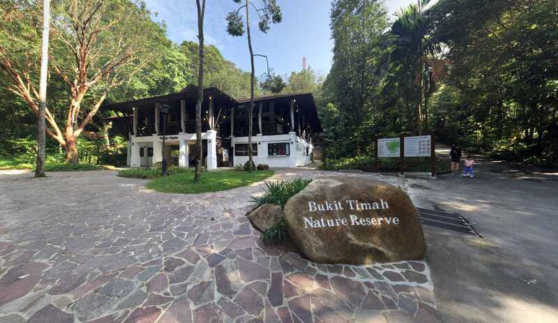 Khám phá mảng xanh Bukit Timah giữa lòng Singapore 6