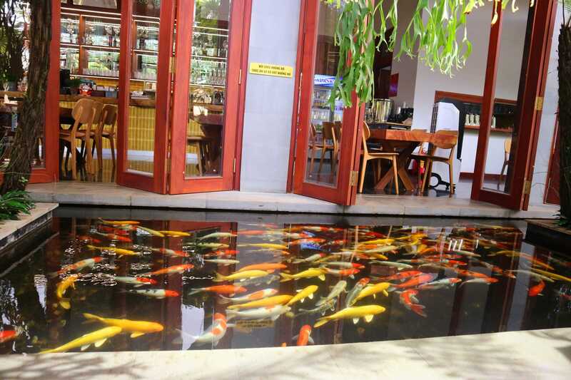 Bun Coffee: Tiệm cafe thiên nhiên trong lành tại xứ Buôn Mê 8