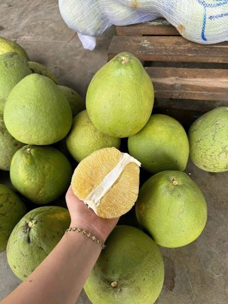 Thưởng thức bưởi Năm Roi, đặc sản nổi tiếng của Vĩnh Long 6