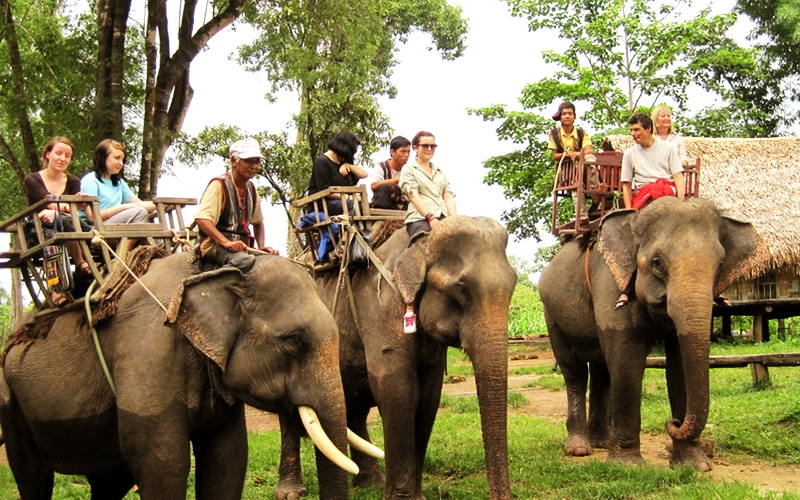 Về Buôn Đôn nghe tiếng chiêng rừng giữa vùng núi Tây Nguyên 12