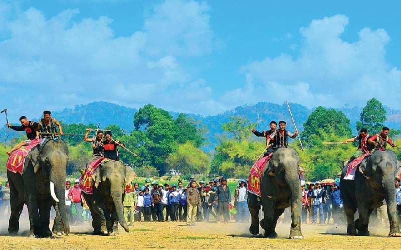 Về Buôn Đôn nghe tiếng chiêng rừng giữa vùng núi Tây Nguyên 14