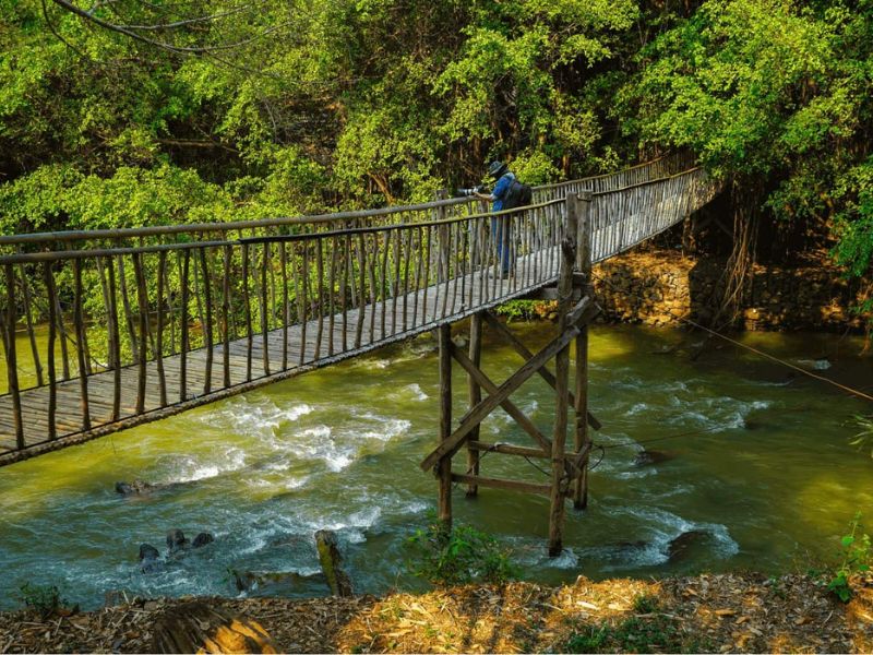 Buôn Đôn, vẻ đẹp hùng vĩ giữa bạc ngàn Tây Nguyên 5