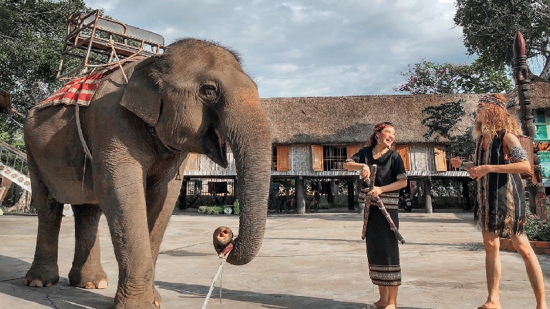 Về Buôn Đôn nghe tiếng chiêng rừng giữa vùng núi Tây Nguyên 7