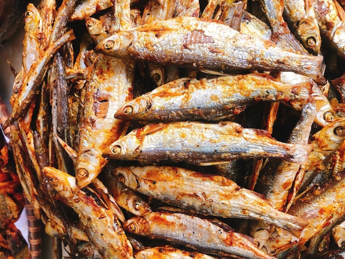 Cá Mương nướng – Món đặc sản dân dã đầy mê hoặc của Phú Yên 6
