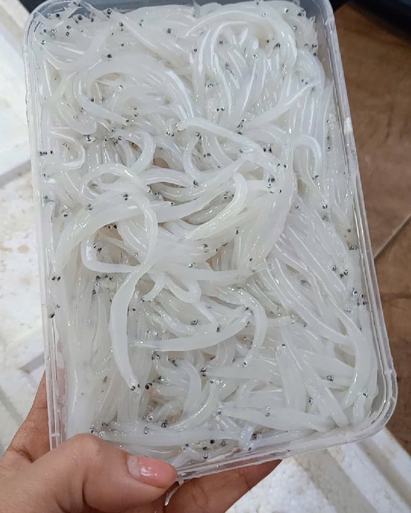 Đặc sản cá ngần sông Đà không phải mùa nào cũng có 5