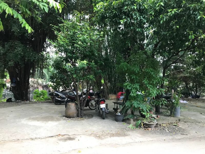 Top 10 quán cà phê võng TPHCM có không gian mát mẻ, yên tĩnh 7