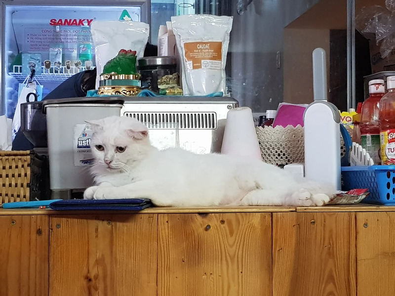 Top 18 quán cà phê Vũng Tàu mang đậm cá tính riêng 10