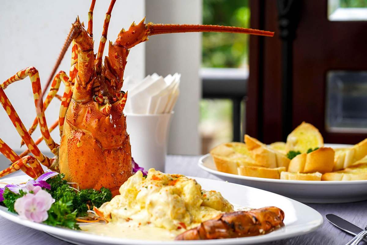 Cả thế giới ẩm thực Á - Âu về lại bên Aroma Restaurant - Stelia Beach Resort Phu Yen 2