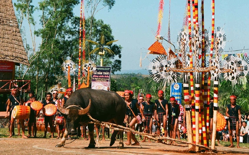 Các lễ hội ở Tây Nguyên nổi bật mang đậm bản sắc văn hóa 9