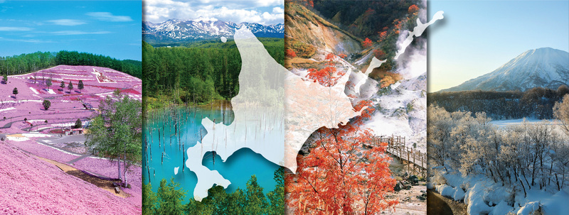 Khám phá 47 tỉnh Nhật Bản với 8 vùng đặc trưng 3